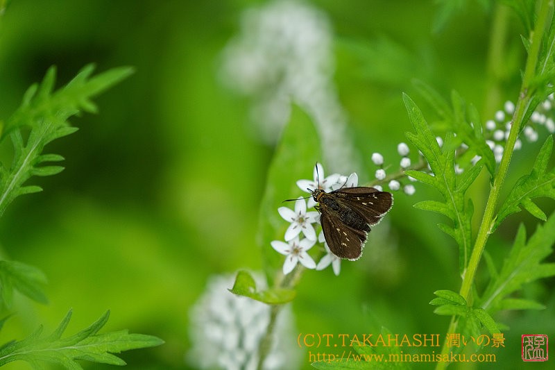 ../Images/7R240714 (164).jpg